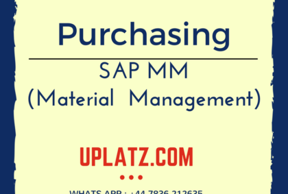 SAP MM Purchasing